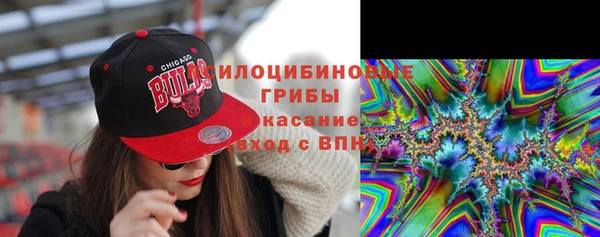 кокаин Белокуриха