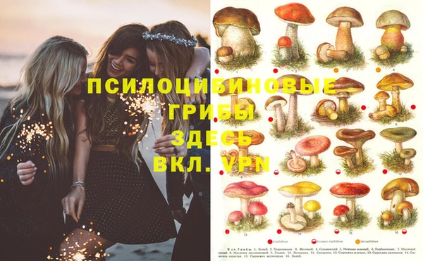 кокаин Белокуриха