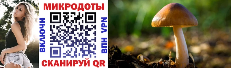 Псилоцибиновые грибы GOLDEN TEACHER как найти Демидов